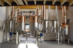 newgrappa1-72