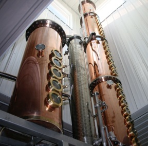essences plant72